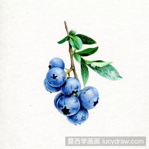 用彩铅怎样画蓝莓