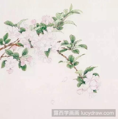 工笔海棠花画法