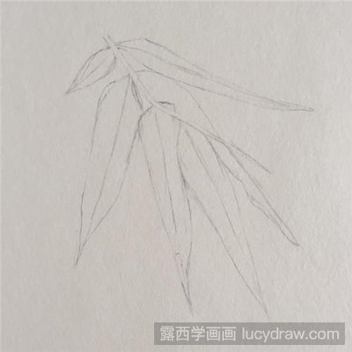 用彩铅画竹叶怎么画