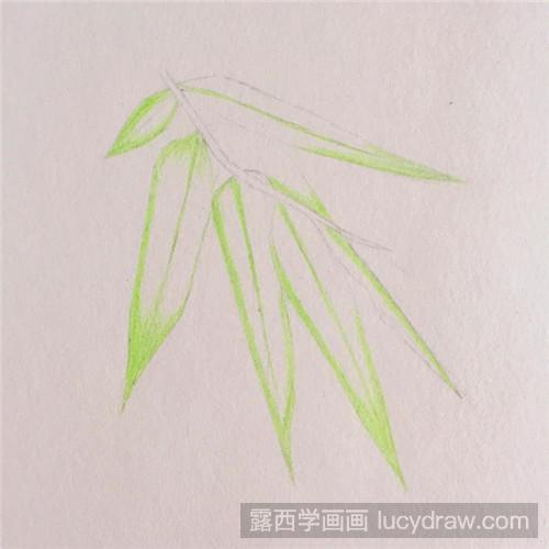 用彩铅画竹叶怎么画