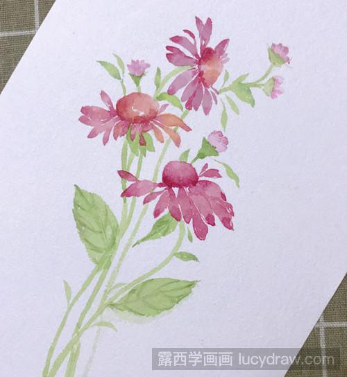 水彩野菊花画法