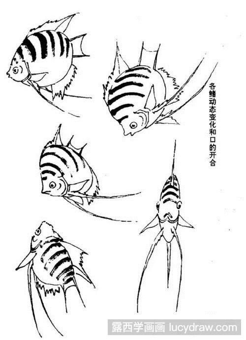 毛笔画鱼视频教程简单图片