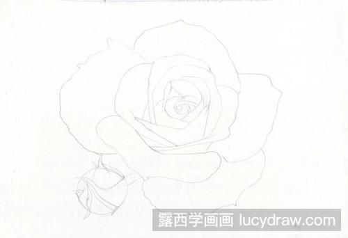 彩铅怎么画白玫瑰