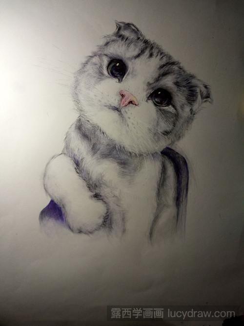 圆珠笔画猫咪教程