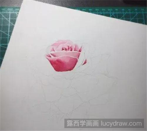 教你用水彩画一朵月季花