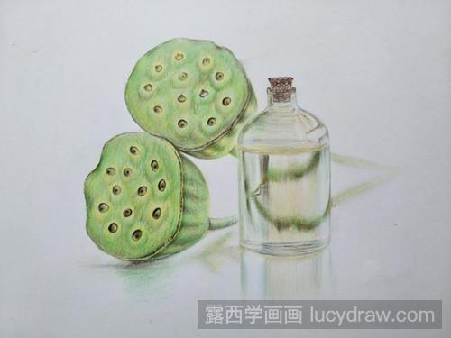 彩铅莲蓬的画法