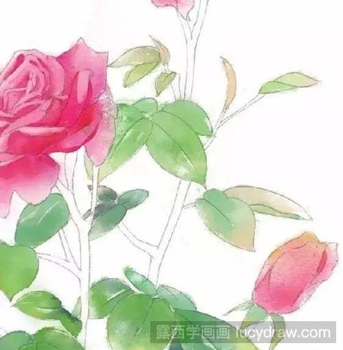 蔷薇花的画法