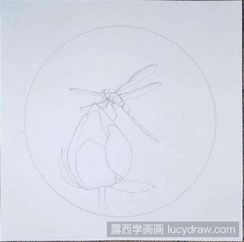 彩铅蜻蜓画法