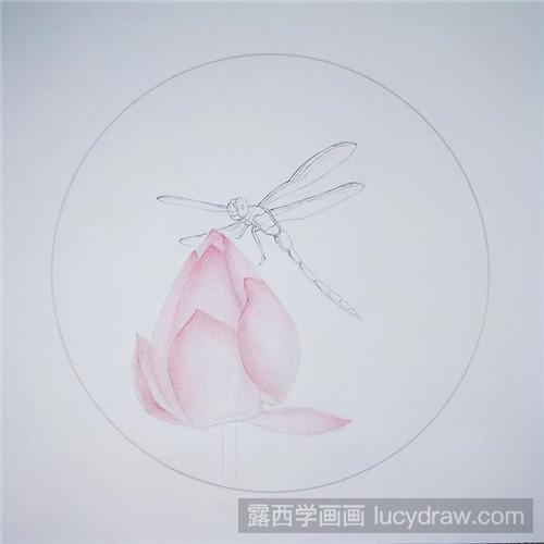 彩铅蜻蜓画法