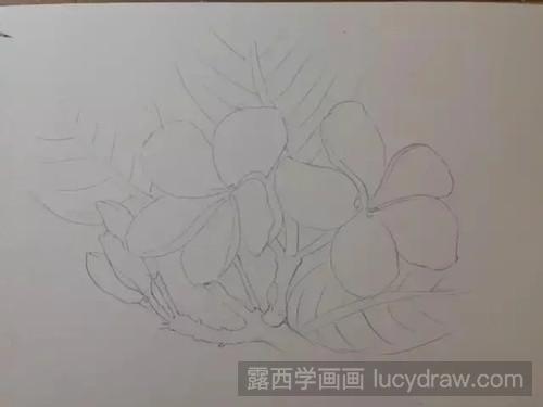 鸡蛋花彩铅画教程