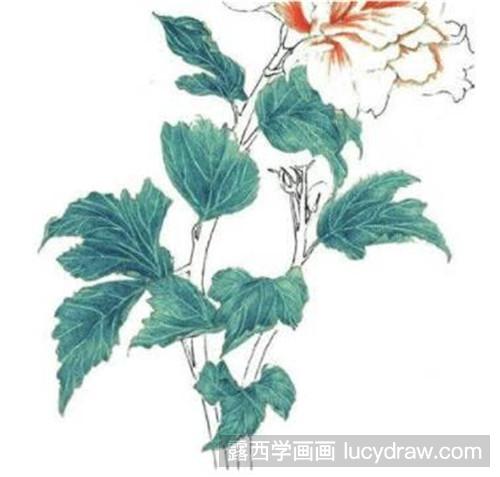 木槿花的彩铅画法