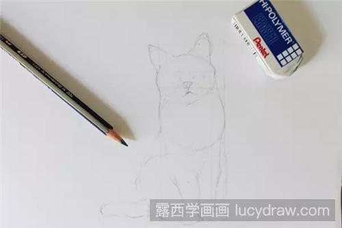 猫素描教程