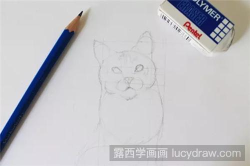 猫素描教程