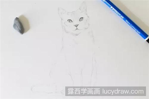 猫素描教程