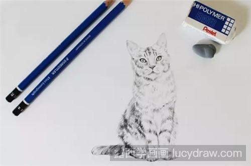 猫素描教程