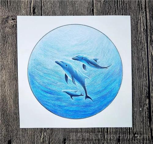 彩铅海豚画法