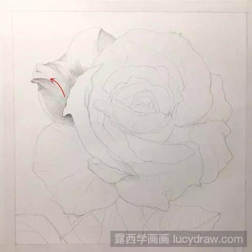 素描玫瑰画法