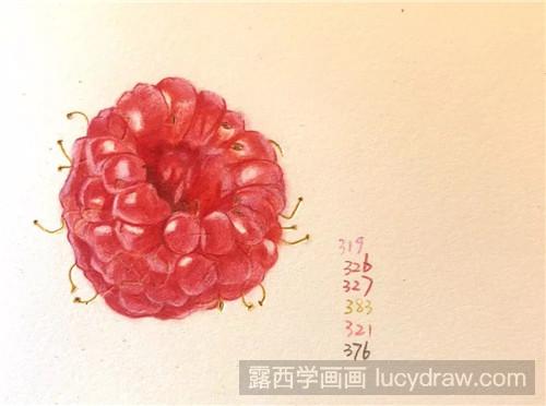 彩铅树莓画法