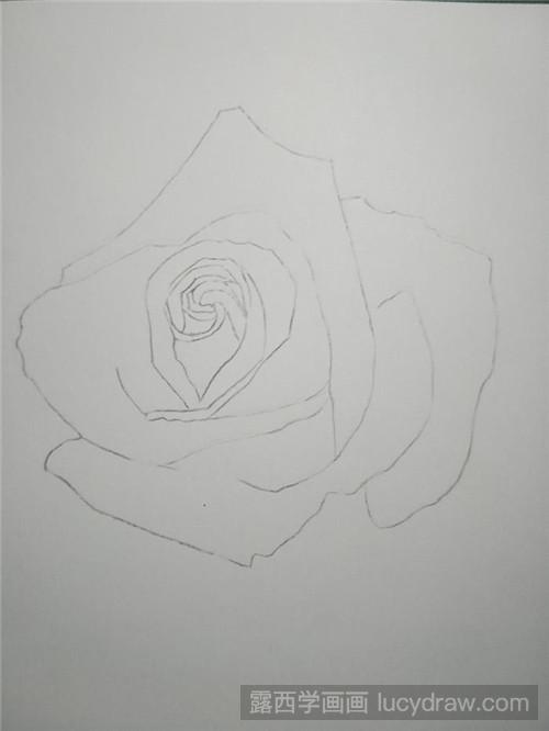 彩铅画玫瑰步骤