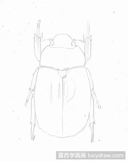 怎么画甲虫