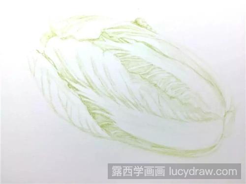 彩铅画白菜教程