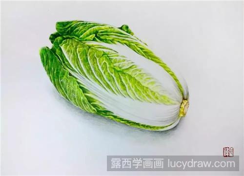 彩铅画白菜教程