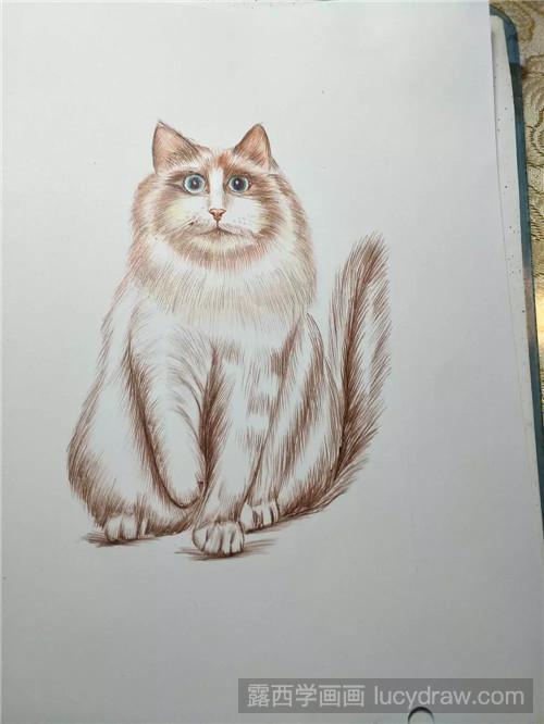 圆珠笔画猫教程