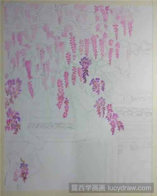紫藤彩铅画法：紫藤花开了