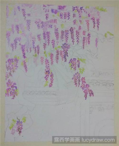 紫藤彩铅画法：紫藤花开了