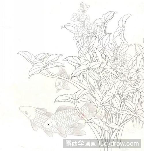 怎样画鲫鱼工笔画