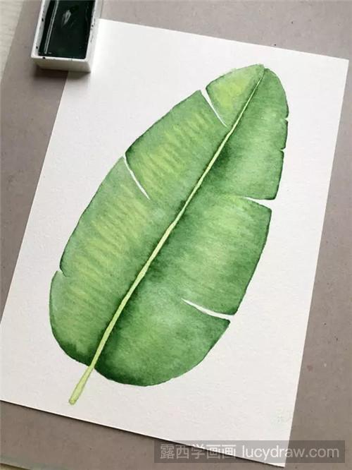 巴蕉叶水彩教程：开始从简单的树叶画起