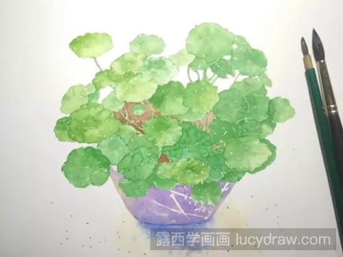 水彩植物教程：如何画最简单的铜钱草