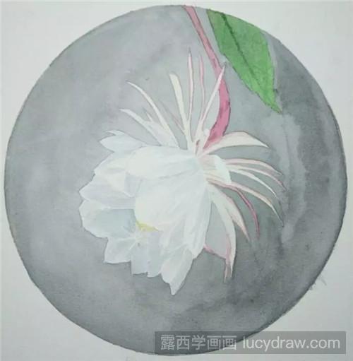 昙花画法教程，一步一步教你学