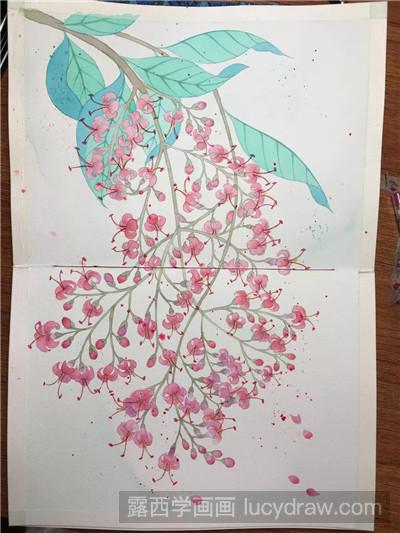 水彩花卉画法：女贞花怎么画?