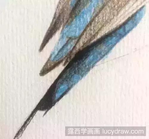 彩铅画教程：七彩鸟怎么画?