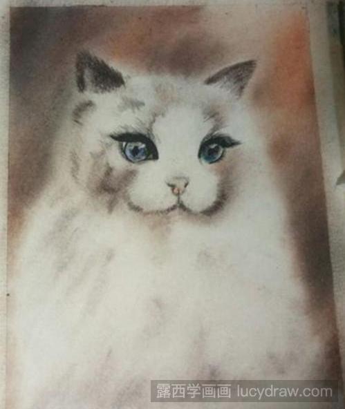 色粉画教程：布偶猫如何画？