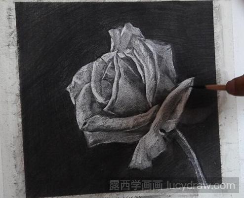 素描教程:玫瑰花怎么画？