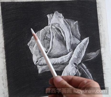 素描教程:玫瑰花怎么画？