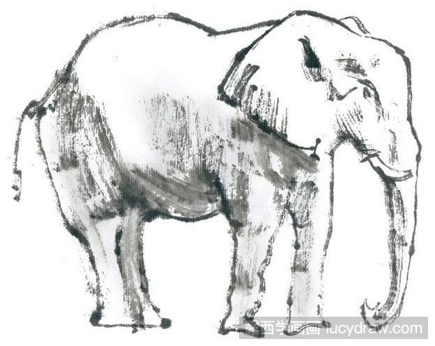 国画教程：怎么画大象？