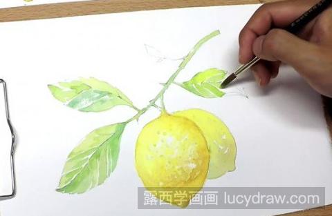水彩画教程：清新柠檬怎么画？