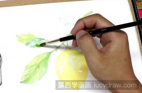 水彩画教程：清新柠檬怎么画？