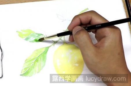 水果柠檬水粉画怎么画？具体的步骤分享给你！