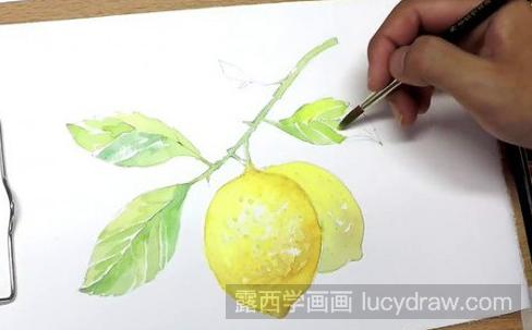水果柠檬水粉画怎么画？具体的步骤分享给你！
