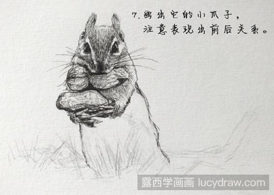 可爱的松鼠用钢笔画如何画？告诉你怎么画松鼠！