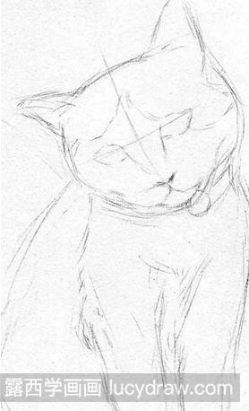 自家宠物猫素描画怎么画？