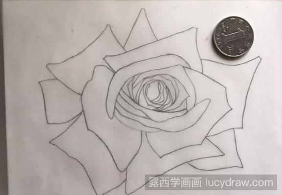 盛放的玫瑰彩铅画怎么画?