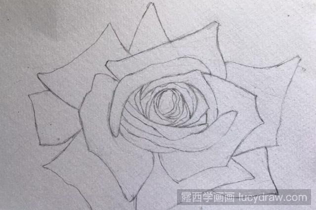 盛放的玫瑰彩铅画怎么画?