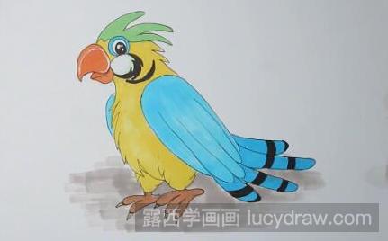 鹦鹉水彩画怎么画？鹦鹉绘画步骤分享
