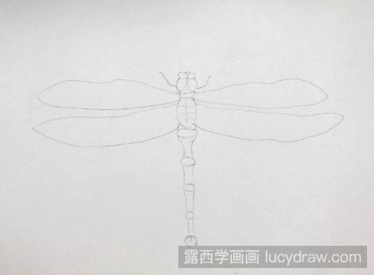 蜻蜓水粉画如何画？