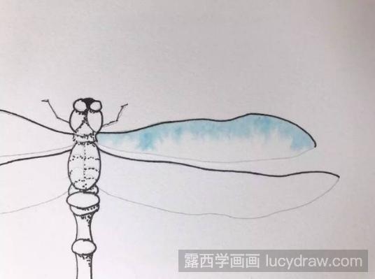 蜻蜓水粉画如何画？
